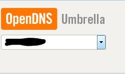 OpenDNS Domain Selection